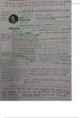 GCSE AQA English Literature Power and Conflict poetry annotations 