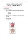 CARDIOVASCULAR SYSTEM NOTES ANATOMY & PHYSIOLOGY NOTES A. ANATOMY OF THE HEART