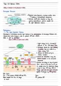 AQA A Level Biology Topic 5A