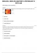 BIOS-252&colon; Anatomy & Physiology II with Lab &lbrace;Self-Test 38&rcub;