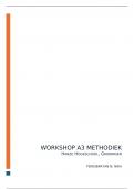 Workshop A3 methodiek