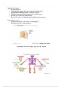 Anatomy & Physiology&colon; overview of the Skeletal System 