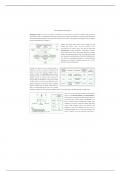 Bio 203- Body temperature and regulation summary 