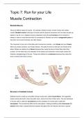 Edexcel IAL Biology Topic 7 Muscle Contraction Notes