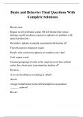 Brain and Behavior Final Questions With Complete Solutions