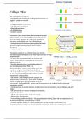 College aantekeningen Humane anatomie en fysiologie (AB_1125)  Fundamentals of anatomy & physiology