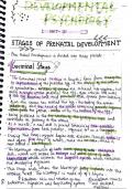 stages and factor affecting prenatal development