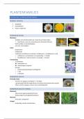 Samenvatting -  Biologie I: toegepaste plantkunde: PLANTENFAMILIES