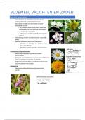 Samenvatting -  Biologie I: toegepaste plantkunde: BLOEMEN ZADEN VRUCHTEN
