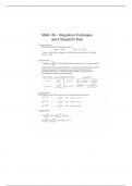 Math 16600- Integration techniques 
