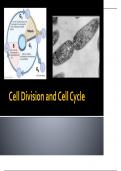 The Cell Cyclespring Presentation &lpar;FULL LESSON &plus; NOTES&rpar;