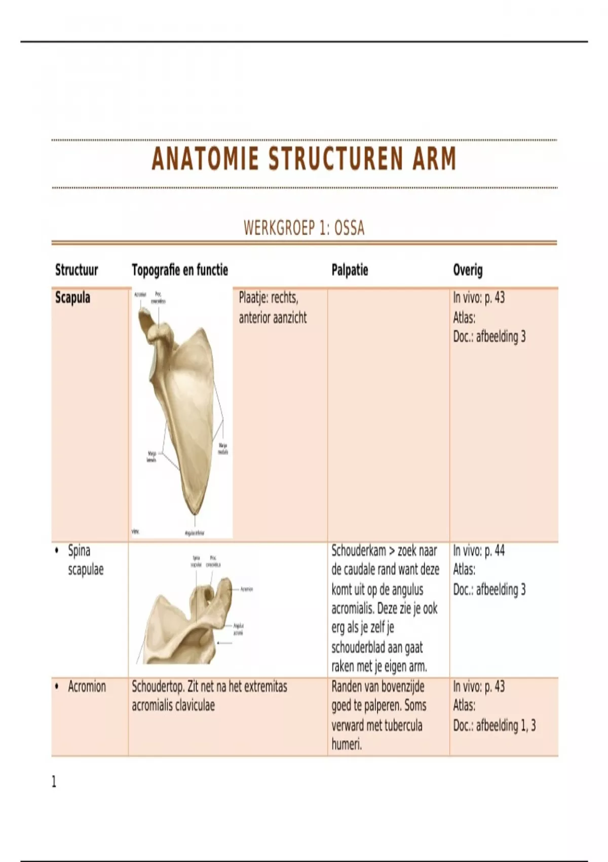 ANATOMIE IN VIVO VAN HET BEWEGINGSAPPARAAT NEDERLANDS PDF visual data 8