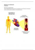 Samenvatting/verslag hartinfarct