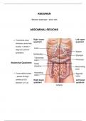 Gross Anatomy Abdomen Notes