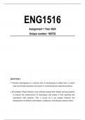 ENG1516 Assignment 1 Solutions Year 2024