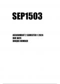 SEP1503 Assignment 2 Semester 1 2024-Corporate investigation