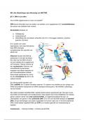 Samenvatting -  6VWO Biologie DNA 