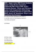 BRS - Upper Limb, BRS Gross Anatomy Upper Limbs Review Questions, Lippincott P&P, Gray's P&P, Gray's Anatomy Review - Pelvis and Perineum, Lower Limb (Lippincott), Embryology (Gray's Anatomy Review & Lippincott & BRS), Gray's UL Questions, Gra