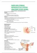 NURS 6501 FEMALE  REPRODUCTIVE SYSTEM  ANATOMY STUDY GUIDE