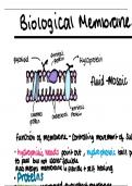 As Biology-Topic 2-Biological membranes and transport across cells-Summary 