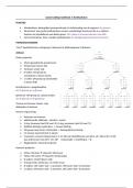 Samenvatting hoofdstuk 3 biomoleculen: Koolhydraten, 1e bachelor biomedische wetenschappen 