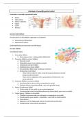Samenvatting histologie van de orgaanstelsels: Vrouwelijk genitaal stelsel, 2e bachelor biomedische wetenschappen