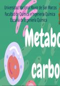 Resumen de metabolismo de carbohidratos