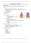 Samenvatting histologie van de orgaanstelsels: Bloed- en lymfevaten, 2e bachelor biomedische wetenschappen