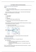 Samenvatting immunologie les 2: Organen en cellen van het immuunsysteem, 2e bachelor biomedische wetenschappen