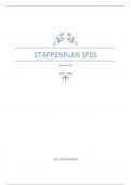 Stappenplan SPSS statistiek. Onderzoeksmethoden 3: Verdieping kwantitatieve technieken