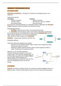 Complete samenvatting van biologie 5 havo