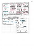 Nuclear decay notes
