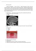Rqs-January-30Th-Questions-For-Dental-Students-.pdf