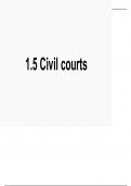 civil courts powerpoint