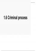 criminal process powerpoint