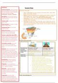 GCSE Geography revision notes for Tectonic Plates