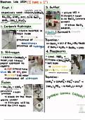 Biochemistry Lab - Identifying CHONPS in Compounds&period;