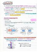 Matric IEB Physical Sciences Magnetism & Electrodynamics Notes