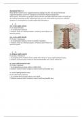 anatomie blok 1.4 neurologie origo + insertie spieren 