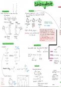 Chemie Abitur Kohlenhydrate Zusammenfassung