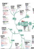 Mindmap Summary of ALL VIRUSES in ONE 'PAGE'