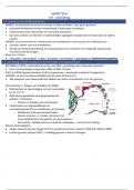 cel 4, cel IV, samenvatting genetica met inname vd slides (moleculaire biologie en genetica) 