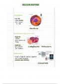 Cellular parts and function