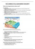 a level geography notes on the carbon cycle
