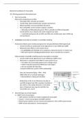 Samenvatting biochemie Geneeskunde 1e jaar: hoofdstuk 18 transcriptie