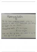 Hemoglobin-1