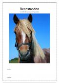 samenvatting beenstanden paard