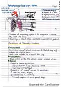 Respiratory System Pathophysiology