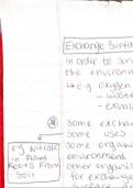 AQA A Level Biology Summary -  Unit 3 - Organisms exchange substances with their environment 