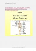 CHAPTER 07 SKELETAL SYSTEM: GROSS ANATOMY QUESTIONS AND CORRECT ANSWERS 2024|A+ GUARANTEED|100% PASS
